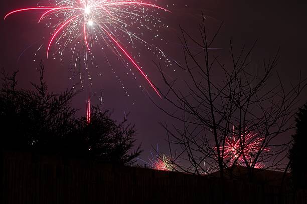 View from a garden of firework display celebrating the new year of 2022