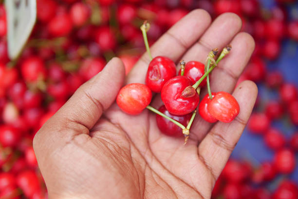 Sweet cherries