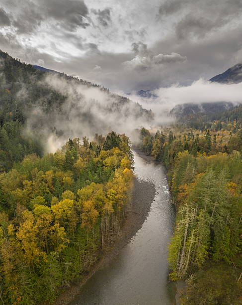 istock Aerial view of elwha river in fall 2250776801