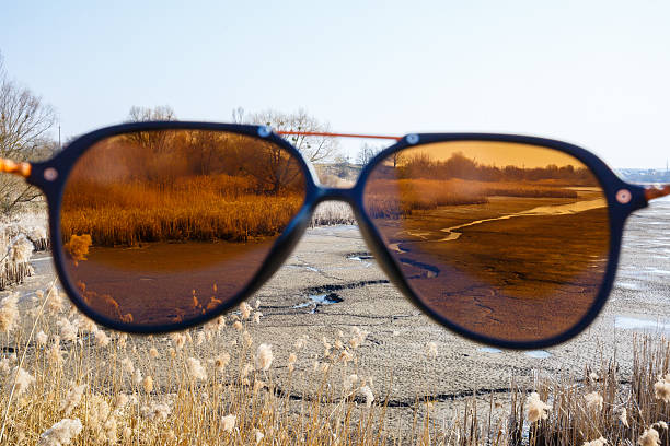 istock Dry reeds on a dried lake view through glasses 2250777852