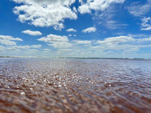 Clouds over the sea