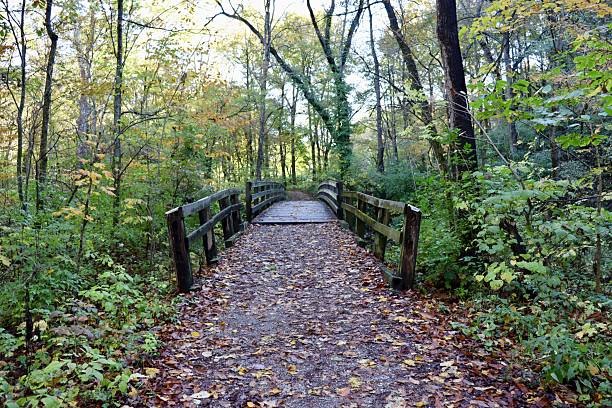 istock Wood Bridge on the Trail 2250787383