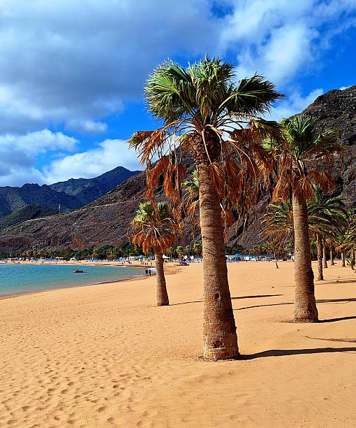 istock Teresitas - Golden Beach in Tenerife 2250787559