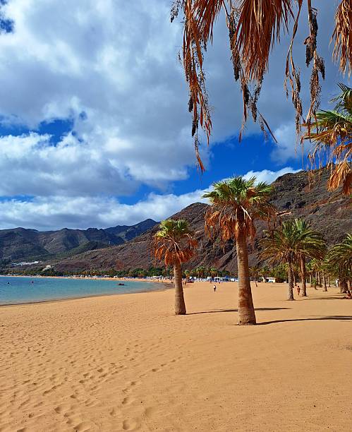 istock Teresitas - Golden Beach in Tenerife 2250787600