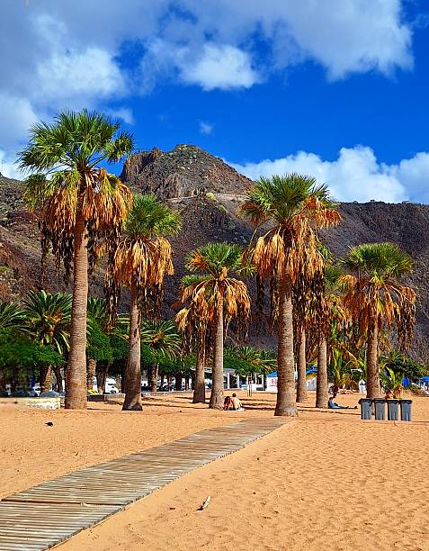 istock Teresitas - Golden Beach in Tenerife 2250788001