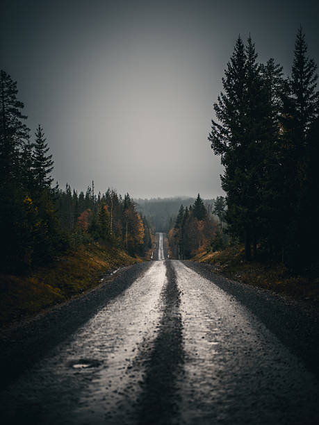 istock Autumn lonley road 2250789284
