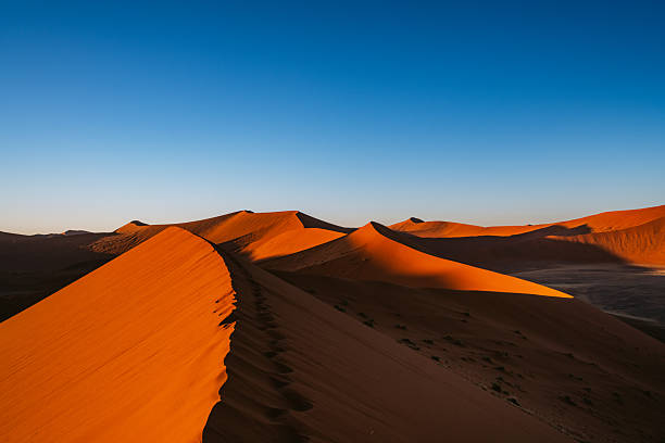 istock Golden Dunes Under Blue Sky in Namib Desert 2250796196