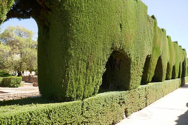 istock Granada in sunny day of September 2250799024