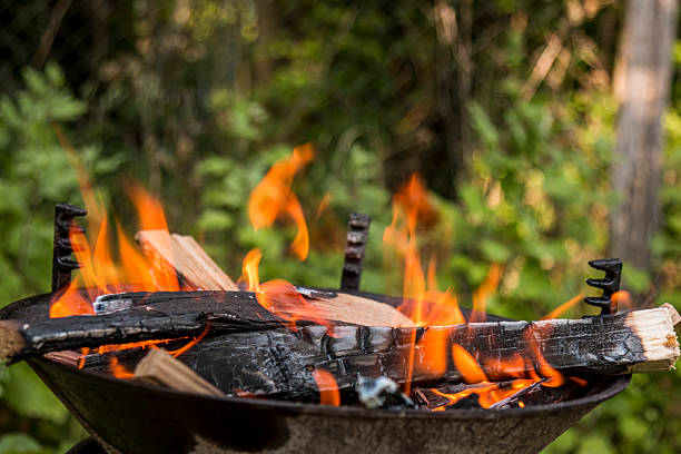 istock Fire burning in a barbecue close-up. 2250806231