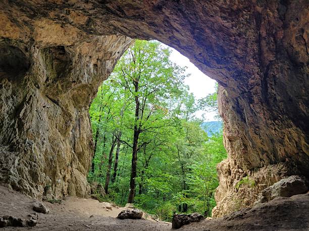istock View from Inside Cave Looking Out to Green Forest Landscape 2250809575