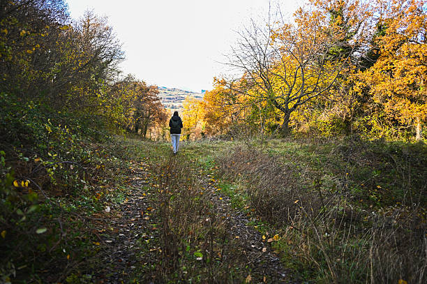 Person walking on a dirt path with colorful autumn trees in a rural setting