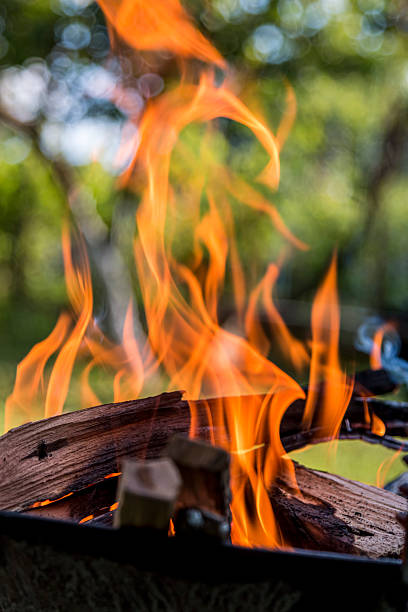 istock Fire burning in a barbecue close-up. 2250816177