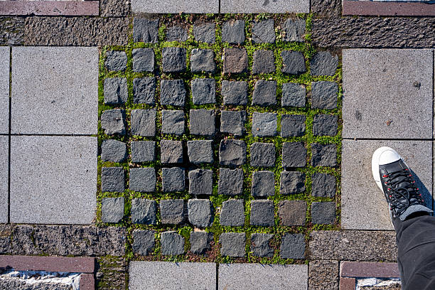 A road paved with colored cobblestones can be used as a background.