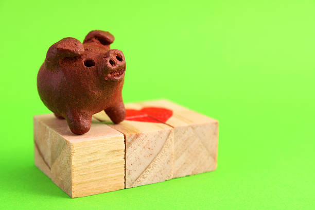 Side view of a pig
