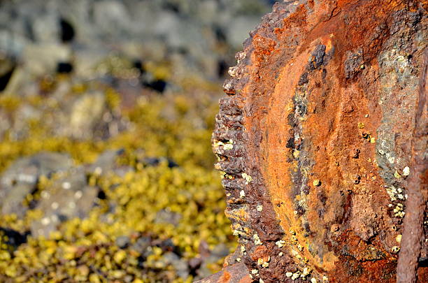 Old rusting machinery and signs at the abandoned Whaling Station at Rose Harbour in Haida Gwaii, BC, Canada