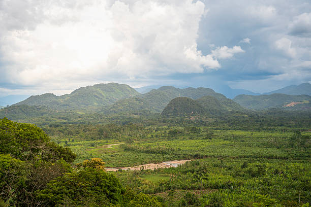 istock Lush green hills and dense rainforest landscape in the Peruvian jungle under dramatic cloudy sky creating natural tropical scenery and vibrant Amazonian environment 2250828313