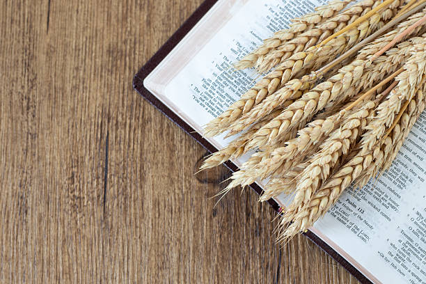 istock Wheat and open holy bible book on wooden background 2250828657
