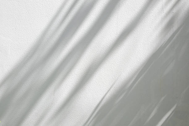 istock Abstract natural tree branch leaves shadow on white wall background 2250832680