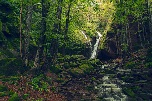 Spring nature freshness of the rainy season. Wide shot of abundant waterfall in lush green forest that creates awe landscape inviting peace & refreshment for the observer.