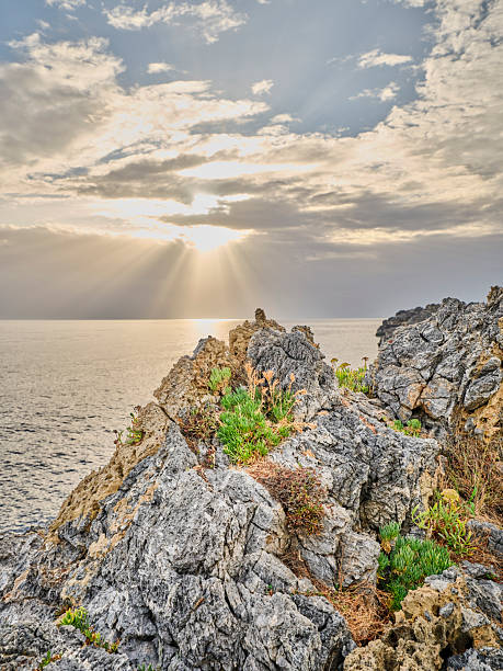 Crete, Greece coastal path along rugged cliffs at sunset. A serene Mediterranean landscape with rocky terrain, low vegetation, and a calm sea to the left. Perfect for travel, nature, hiking, and scenic imagery celebrating coastal beauty and peaceful sunset moments in Greece.