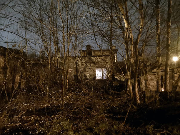 Abandoned home covered in vines