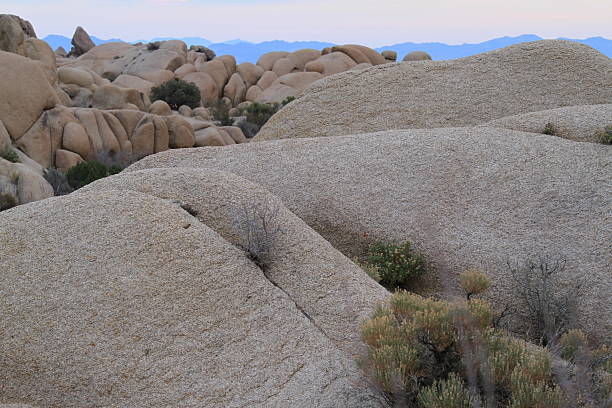 Sunlit boulders cluster in the arid expanse of Joshua Tree National Park, showcasing rugged desert geology and sparse vegetation beneath a clear blue sky.