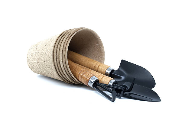 istock Gardening tools and pots arranged on a white background for planting 2250855977