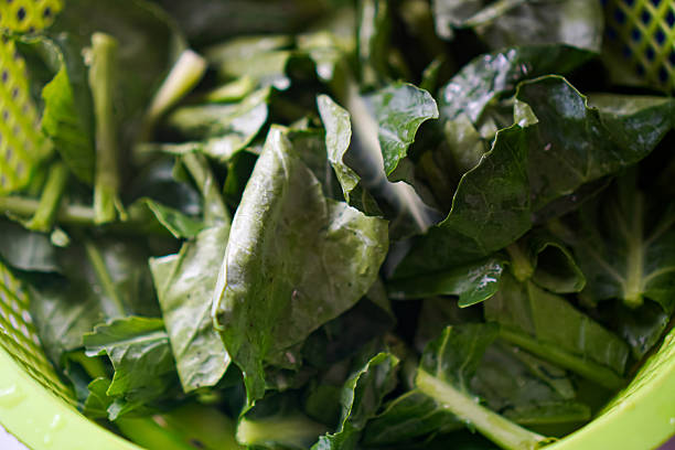 istock Fresh Chinese kale leaves for Asian cooking 2250863722