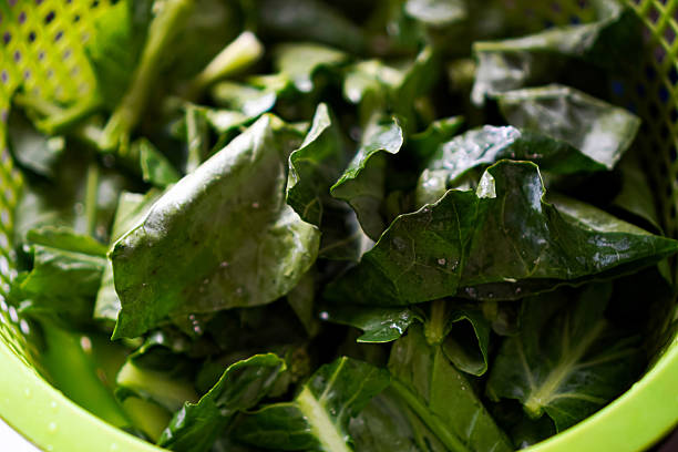 istock Fresh Chinese kale in colander ready for cooking 2250863728