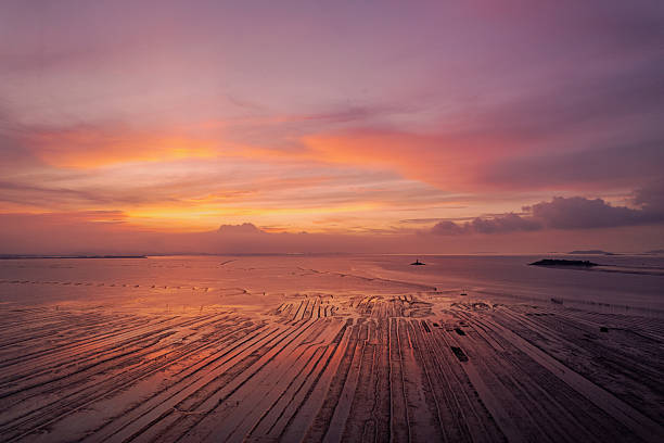 istock Mudflat and red dawn at sunrise 2250872316