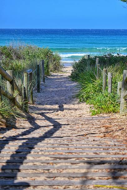 istock The beach walkway. Looking down the beach walk way towards the deep blue ocean. Magpie bird on track. Sand walk way. Summer, coast beach. 2250873426