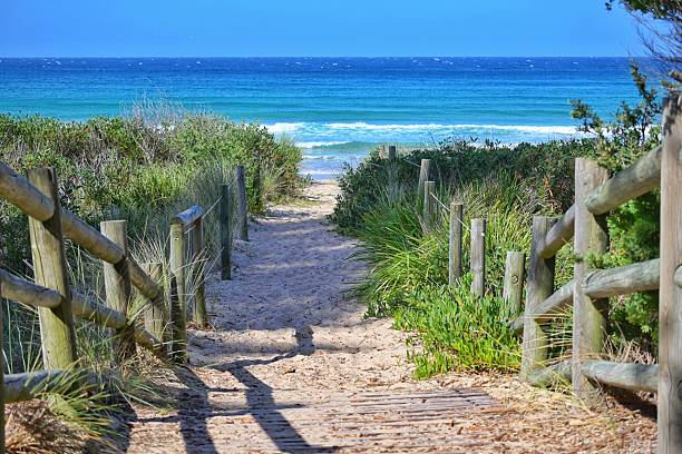 istock The beach walkway. Looking down the beach walk way towards the deep blue ocean. Magpie bird on track. Sand walk way. Summer, coast beach. 2250874316
