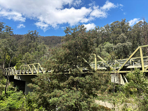 istock Mountain forest bridge and weather clouds during the Summer 2250876516