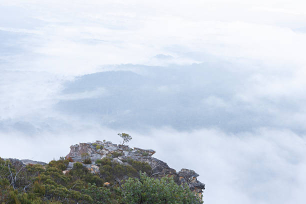 Valley filled fog and mist rise up to cliffs in Katoomba Blue Mountains