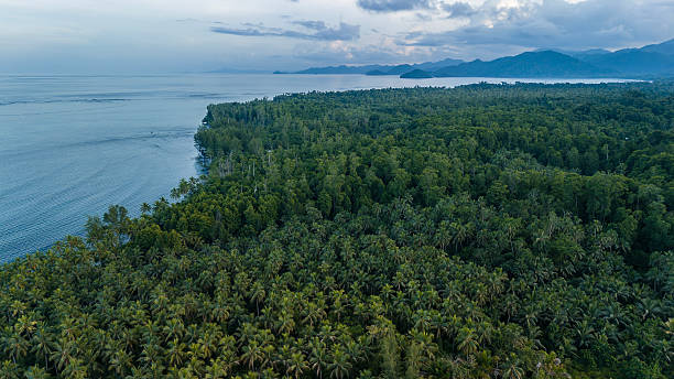 istock Overcast and moody evening on the tropical coast. 2250879364