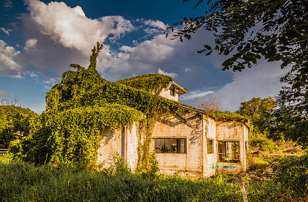 Old abandoned house in Vrasna, Greece. Selective focus.
