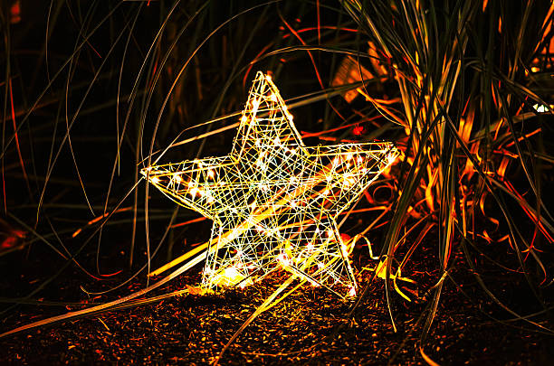 istock illuminated star decoration glowing in the night among plants 2250888679