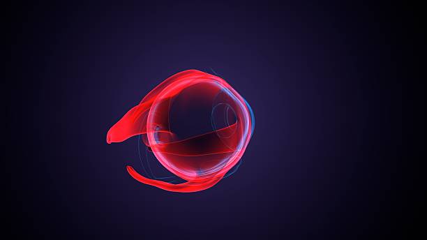 istock Eye parts anatomy. 3d illustrations 2250893365