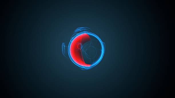 Cornea:- The transparent front layer of the eye that allows light to enter and helps in focusing it.Sclera:-  The white, tough outer layer of the eye that provides shape and protection.Iris:- The colored part of the eye that controls the size of the pupil and regulates the amount of light entering the eye.Pupil:- The black circular opening in the center of the iris through which light enters the eye.Lens:- A transparent, flexible structure that focuses light onto the retina for clear vision.Ciliary Body:- Controls the shape of the lens for near and distant vision and produces aqueous humor.Aqueous Humor:- A clear fluid between the cornea and lens that maintains eye pressure and nourishes eye tissues.Vitreous Humor:- A gel-like substance filling the back of the eye, helping maintain its shape.Retina:- The light-sensitive inner layer of the eye that converts light into nerve signals.Optic Nerve:- Carries visual information from the retina to the brain.Choroid:- A vascular layer between the retina and sclera that supplies oxygen and nutrients to the eye.