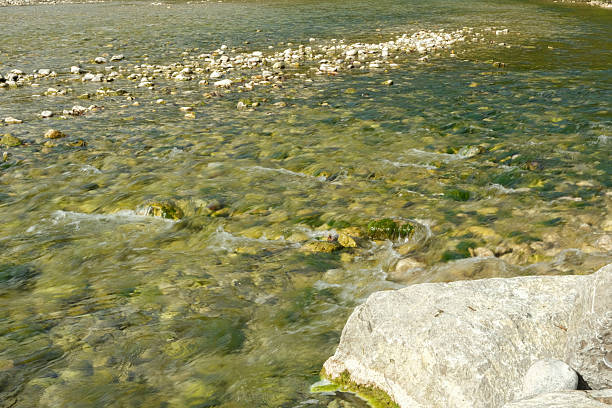 Clear Shallow River Water Flowing Over Rocks and Stones.