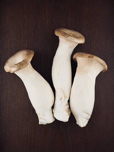 Fresh Organic King Mushrooms in Korea, King oyster mushroom