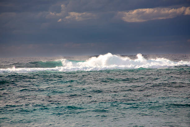 The dynamic and creative winter sea of ​​Amami