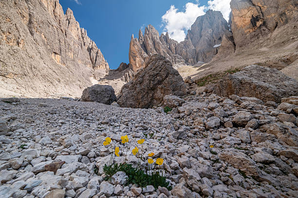 istock Hiking trail around Sassolungo- Langkofel- Saslonch 2250901558