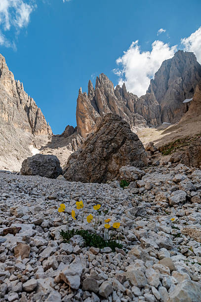 istock Hiking trail around Sassolungo- Langkofel- Saslonch 2250901566