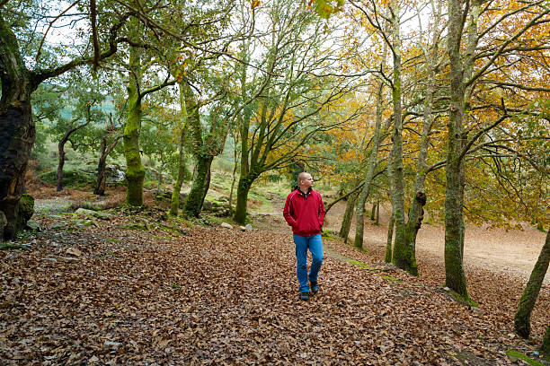 istock Man walking forest path enjoying autumn nature hike 2250903154