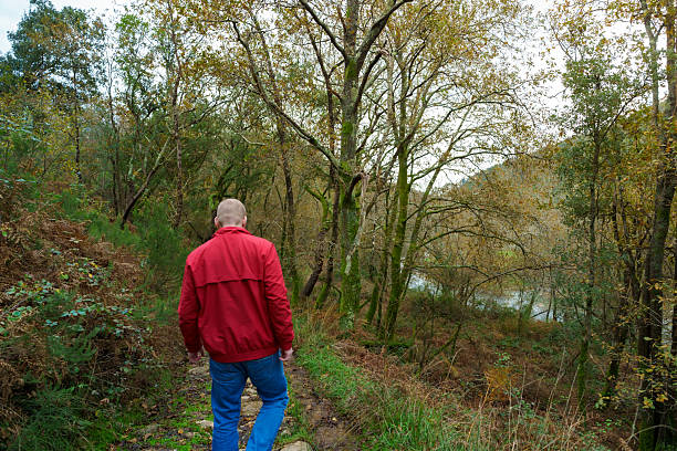 istock Man exploring forest trail during autumn season 2250903342