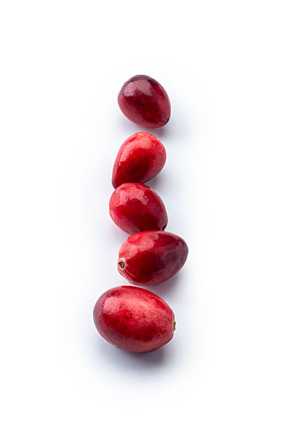 Cranberries Red Berry Fruit in a row. Isolated on White Background.