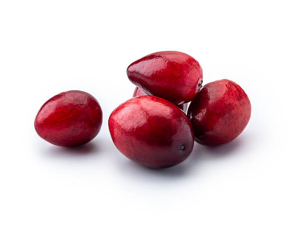 Red cranberries, a pile of fresh berry fruit that is an ingredient of traditional Thanksgiving meals. The stack of autumn food is  isolated on white background. Bog harvested, the grocery may become juice, sauce, jam, or jelly in a healthy eating diet. Studio shot.