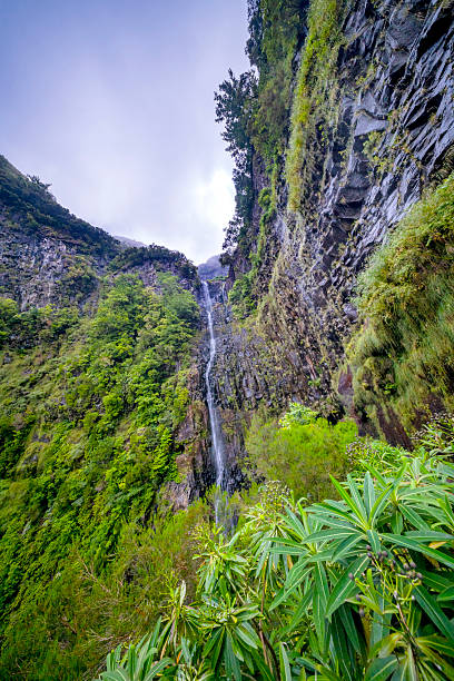 istock Levada do Risco, Mountain Footpath, Irrigation Channel Maintenance Trail, Madeira, Portugal 2250909069