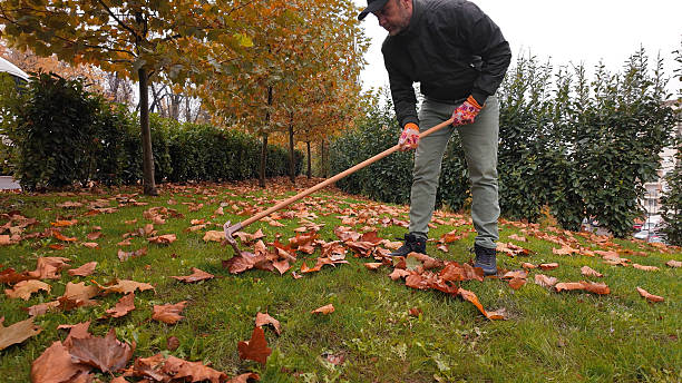 istock Man cleaning garden from fallen autumn leaves. 2250909335